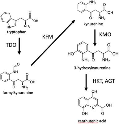 8-HQA adjusts the number and diversity of bacteria in the gut microbiome of Spodoptera littoralis